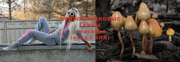 кокс Алзамай